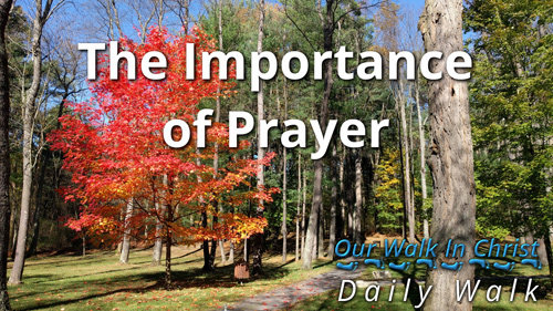 The Importance of Prayer | Daily Walk 1