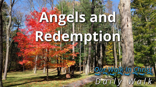 Angels and Redemption | Daily Walk 22