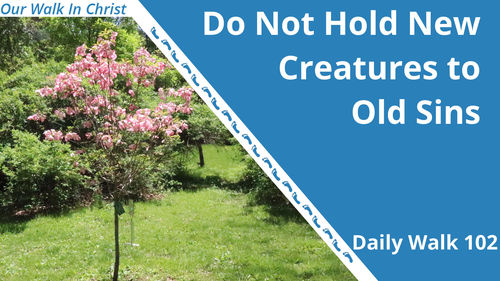 Do Not Hold New Creatures to Old Sin | Daily Walk 102