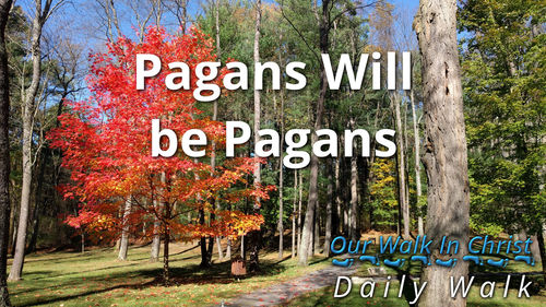Pagans Will be Pagans | Daily Walk 11