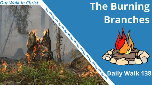 The Burning Brnahces | Daily Walk 138