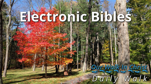 Electronic Bibles | Daily Walk 15