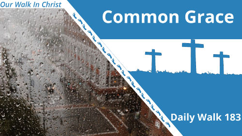 Common Grace | Daily Walk 183