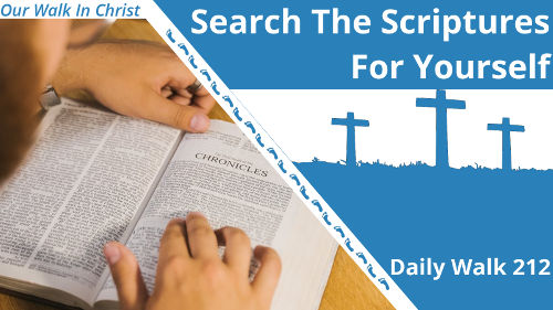 The The Scriptures For Yourself | Daily Walk 212