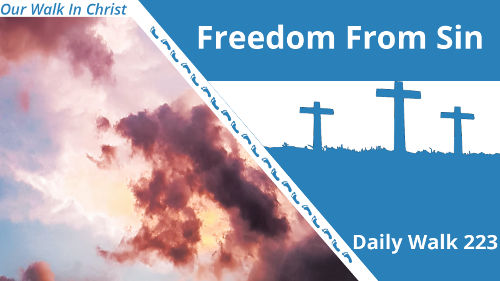 Freedom From Sin | Daily Walk 223