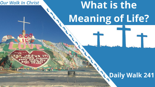 What Is the Meaning of Life? | Daily Walk 241