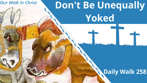 Do Not Be Unequally Yoked | Daily Walk 258