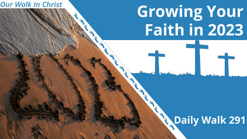 Growing Your Faith in 2023 | Daily Walk 291