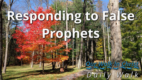 Responding to False Prophets | Daily Walk 30