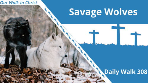 Savage Wolves | Daily Walk 308