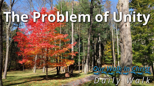The Problem of Unity | Daily Walk 32
