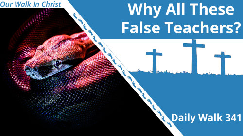 Why So Many False Teachers | Daily Walk 341
