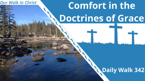 The Comforts in the Doctrines of Grace | Daily Walk 342