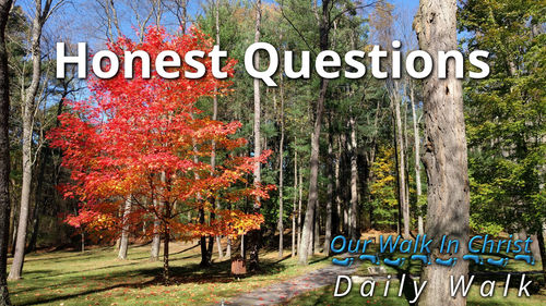 Honest Questions | Daily Walk 38