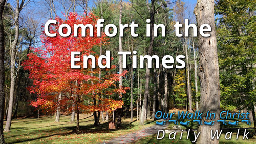 Comfort in the End Times | Daily Walk 42