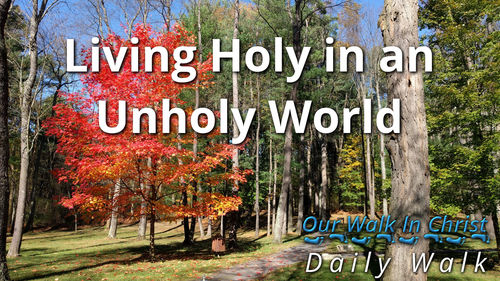 Living Holy in an Unholy World | Daily Walk 43