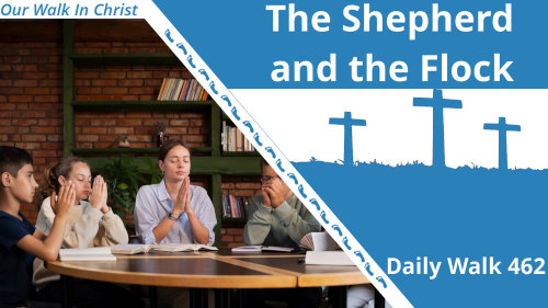 The Shepherd and the Flock | Daily Walk 462