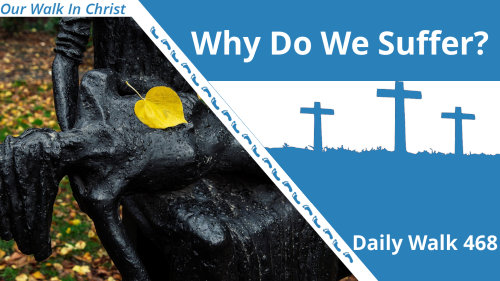 Why We Suffer | Daily Walk 468