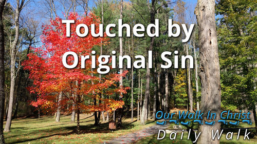Touched By Original Sin | Daily Walk 48