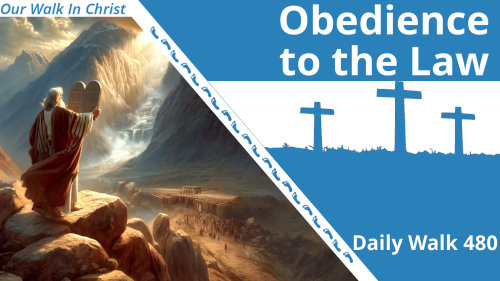 Obedience to the Law | Daily Walk 480