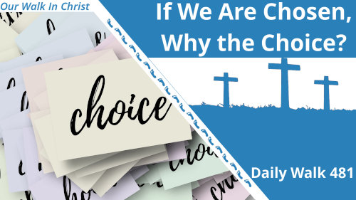 Why Does God Give Us a Choice? | Daily Walk 481