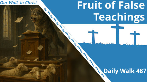 The Fruit of False Teachings | Daily Walk 487