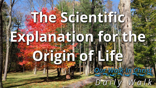 The Problem with the Scientific Explaination of Life | Daily Walk 49