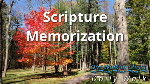 Scripture Memorization | Daily Walk 6