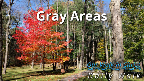 Gray Areas | Daily Walk 69