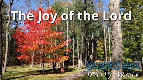 The Joy of the Lord | Daily Walk 78