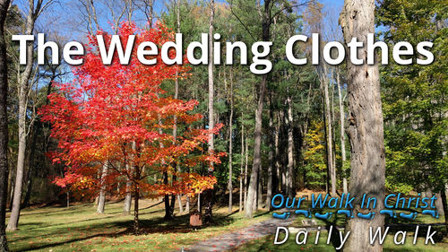 The Wedding Clothes | Daily Walk 79