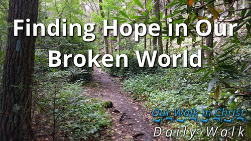 Finding Hope in a Broken World | Daily Walk 81