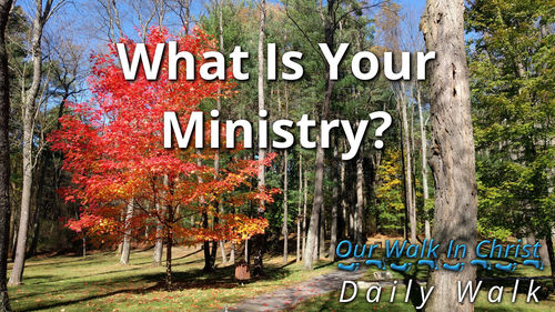 What Is Your Ministry | Daily Walk 82