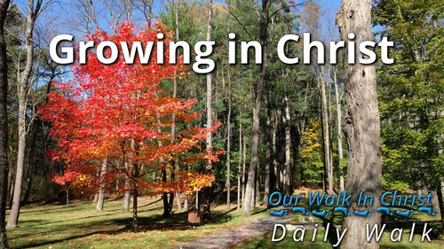Growth in Christ | Daily Walk 86