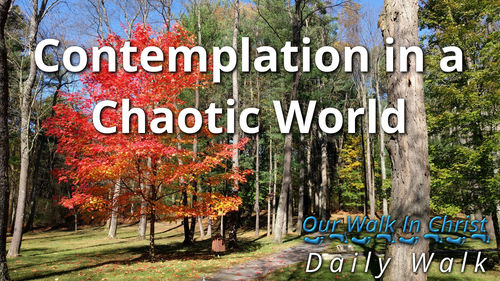 Contemplation in a Chaotic World | Daily Walk 87