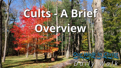 Cults - A Brief Review | Daily Walk 89
