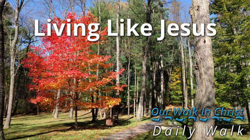 Living Like Jesus | Daily Walk 9