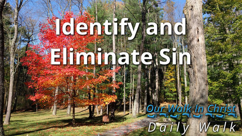Identify and Eliminate Sin | Daily Walk 97