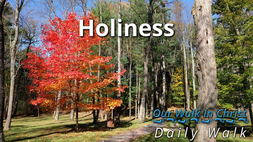 Holiness | Daily Walk 99
